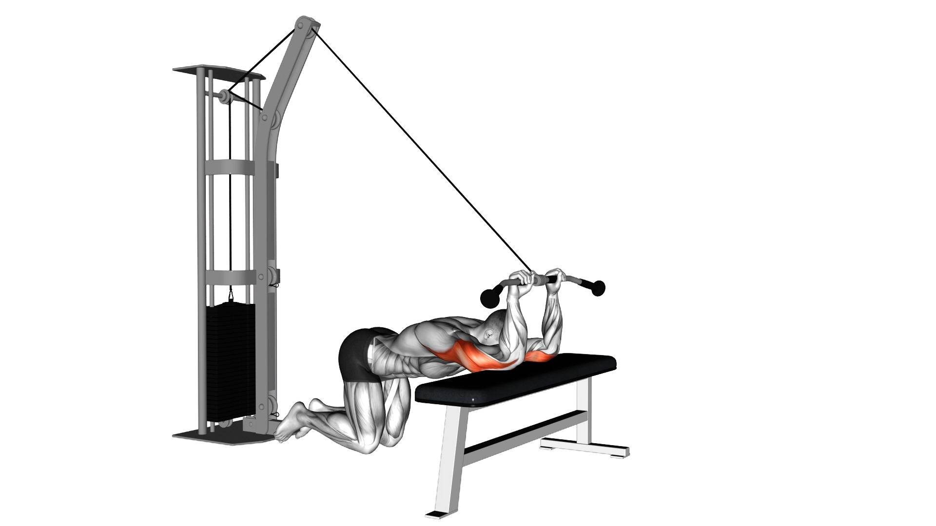 Cable Kneeling Triceps Extension exercise demonstration
