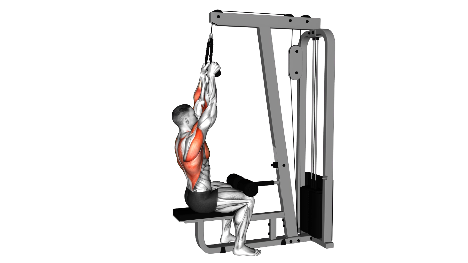Cable Lateral Pulldown (with rope attachment) exercise demonstration