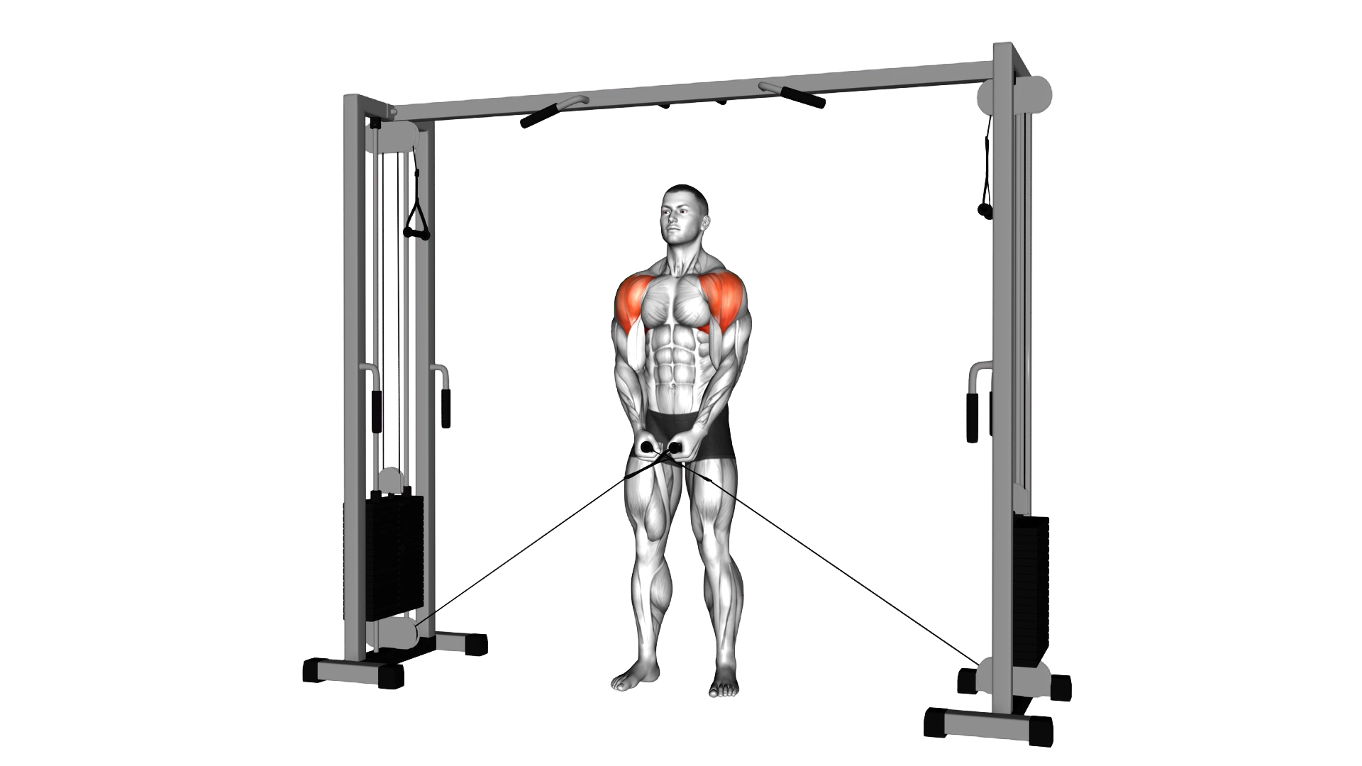 Cable Lateral Raise exercise thumbnail