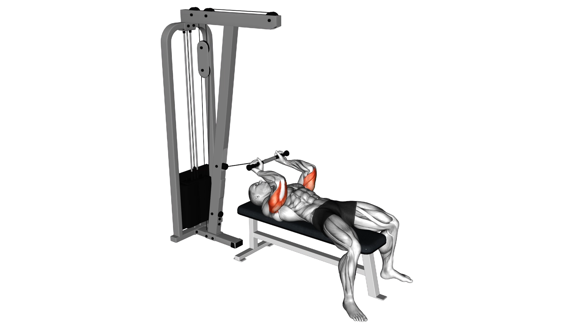 Cable Lying Triceps Extension exercise demonstration