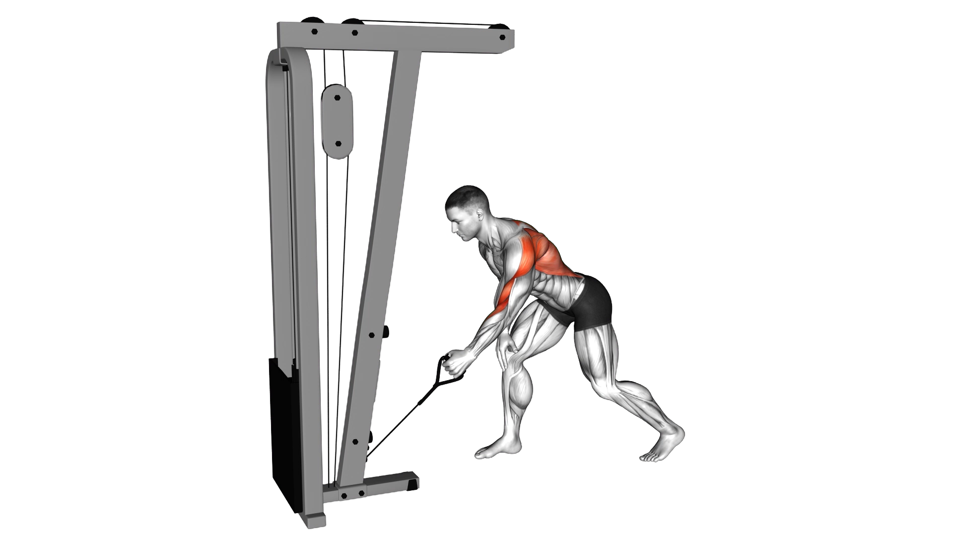 Cable One Arm Bent over Row exercise demonstration