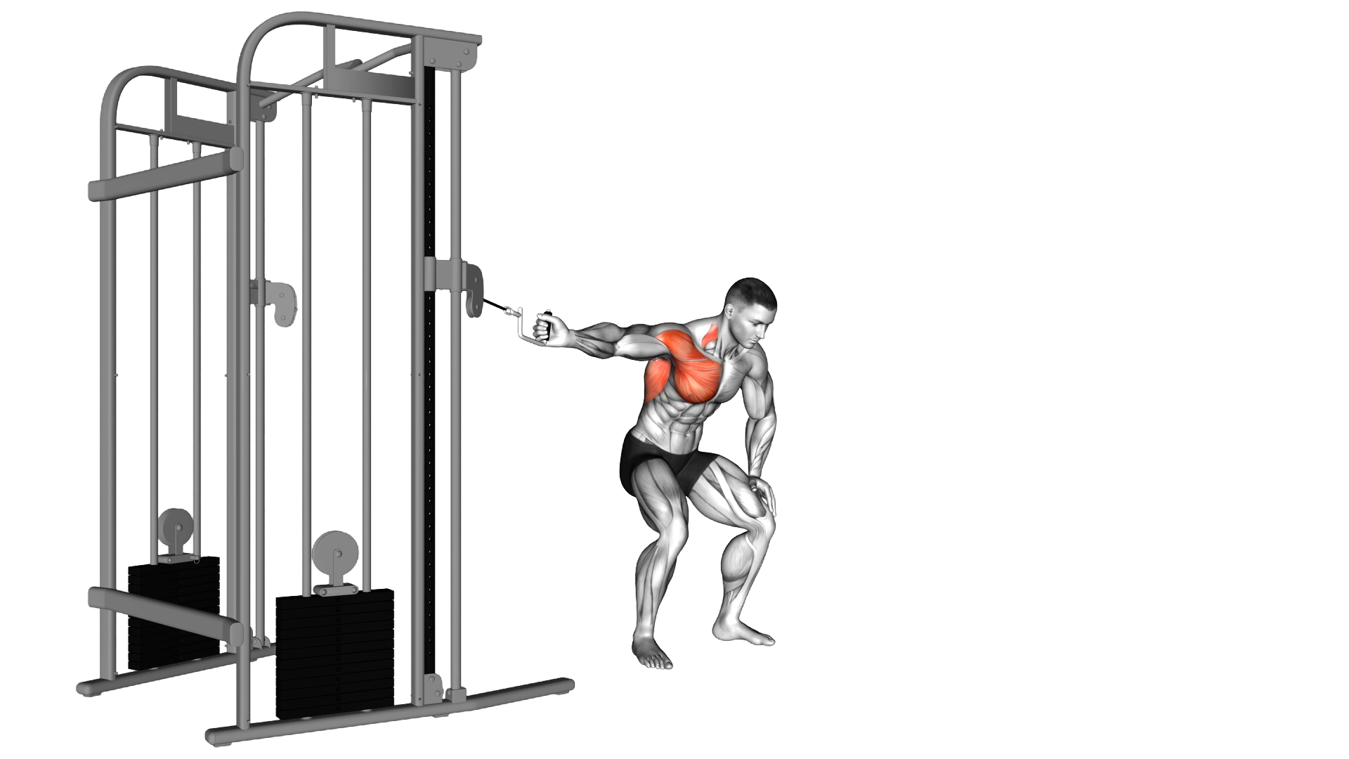 Cable One Arm Lateral Bent over exercise demonstration