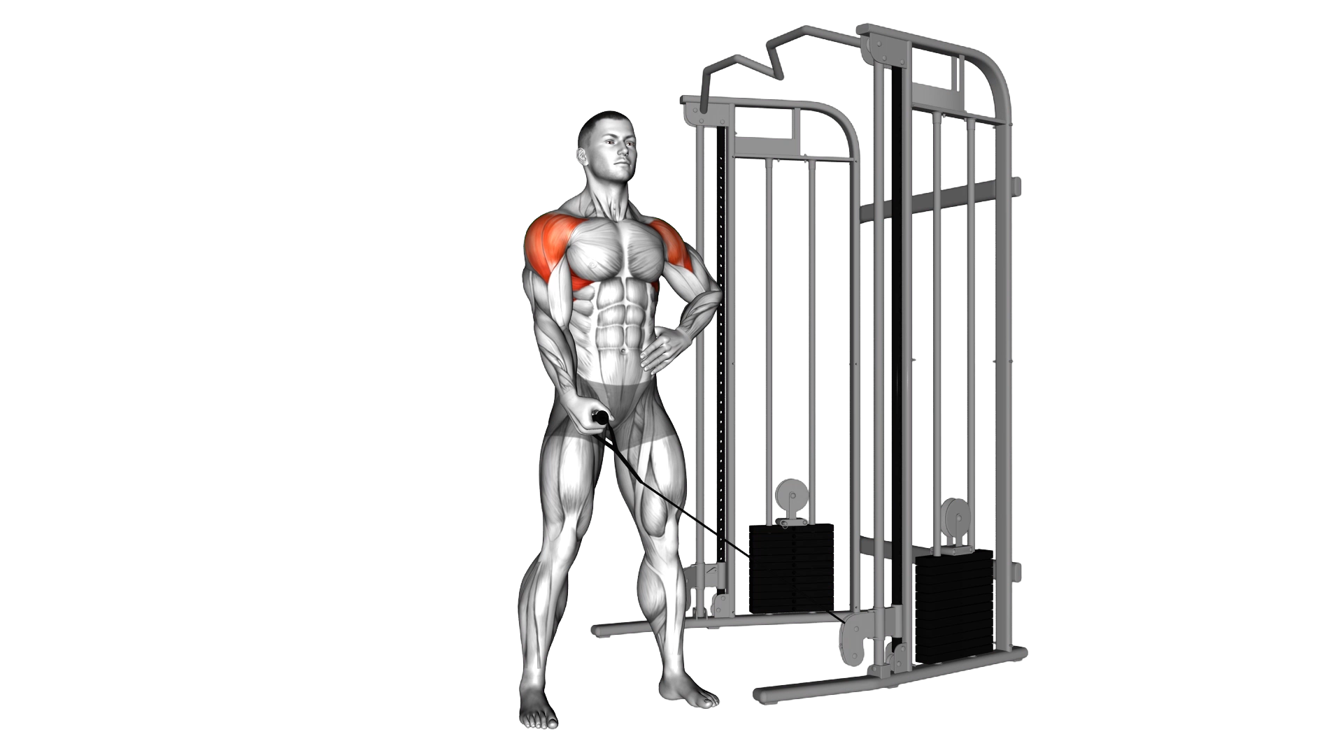 Cable One Arm Lateral Raise exercise demonstration