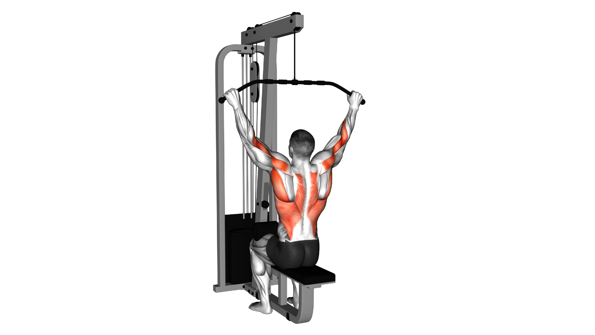 Cable Pulldown (pro lat bar) exercise demonstration
