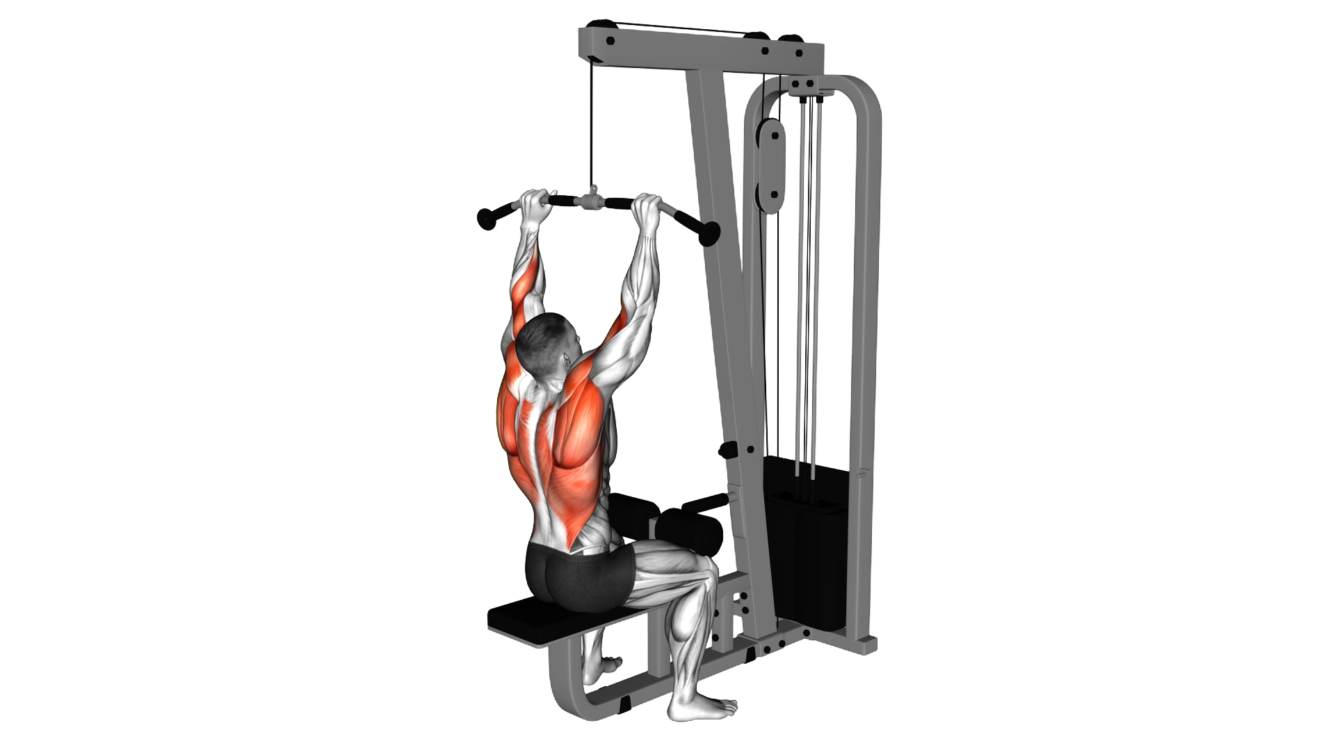 Cable Pulldown exercise demonstration