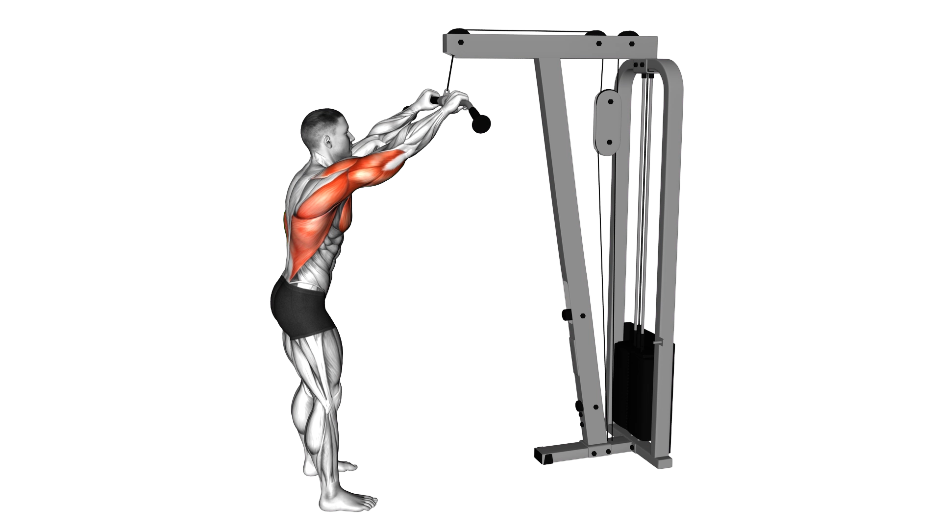 Cable Pushdown (straight arm) exercise demonstration