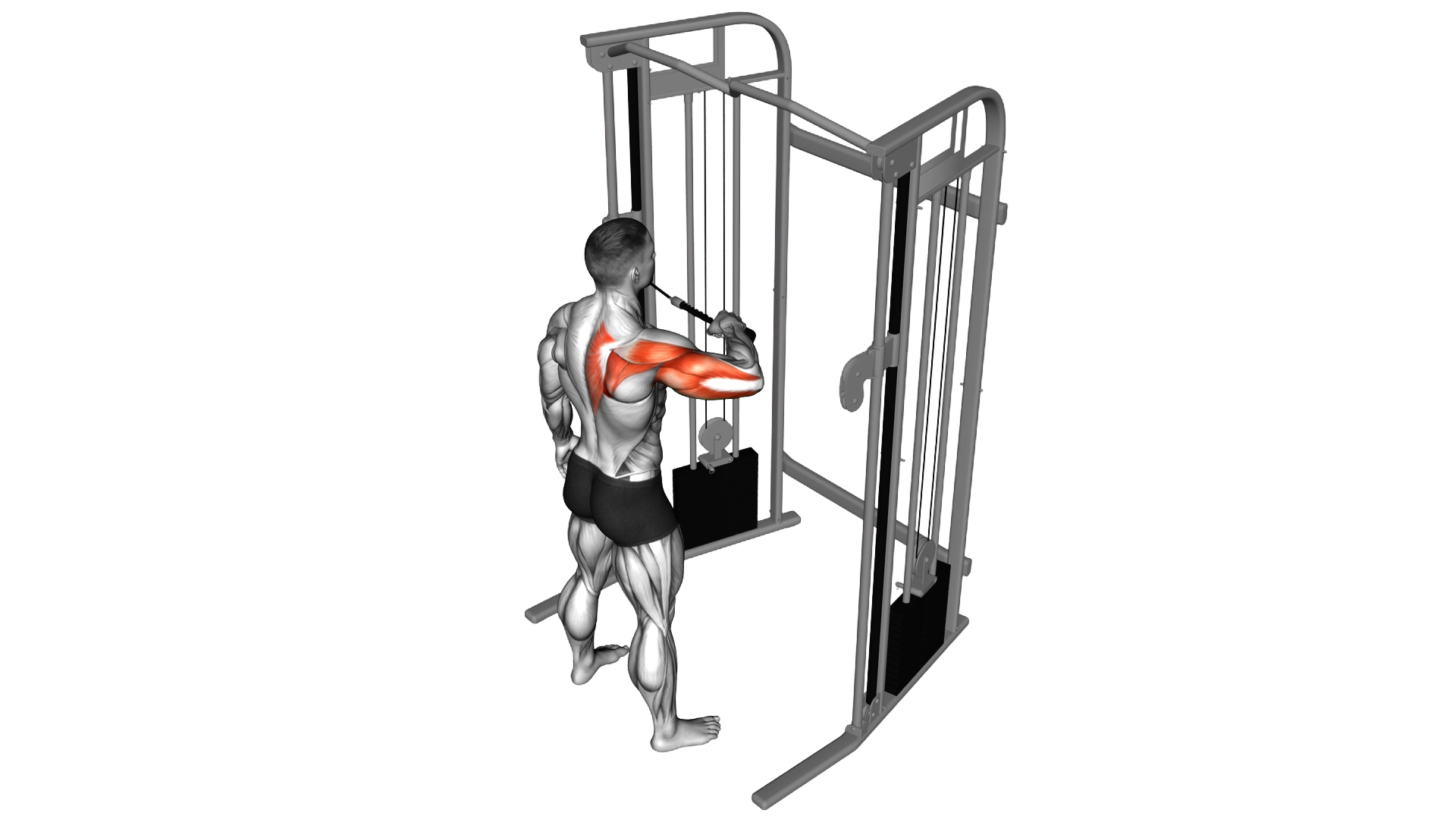 Cable Rear Drive exercise demonstration