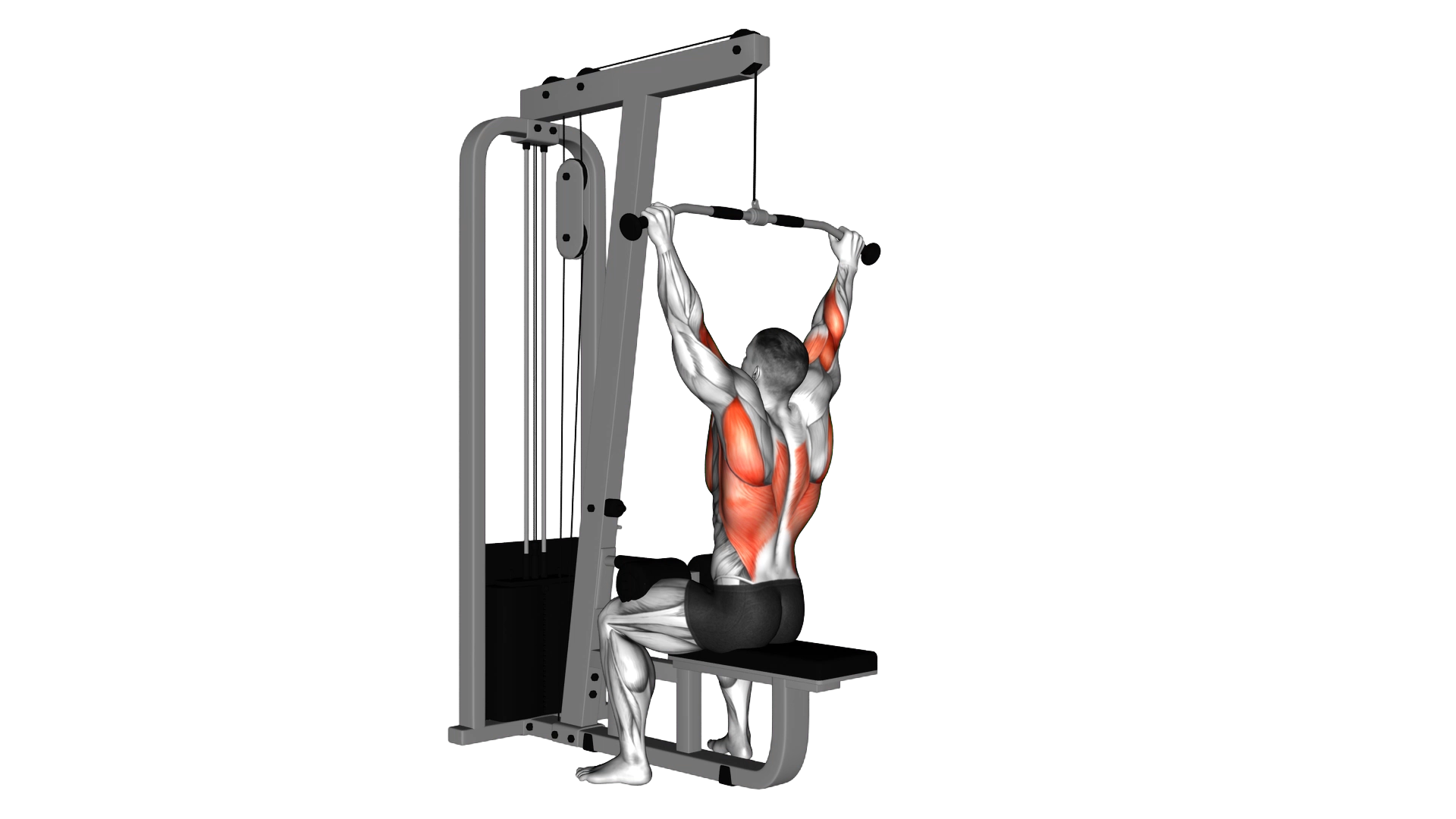 Cable Rear Pulldown exercise demonstration