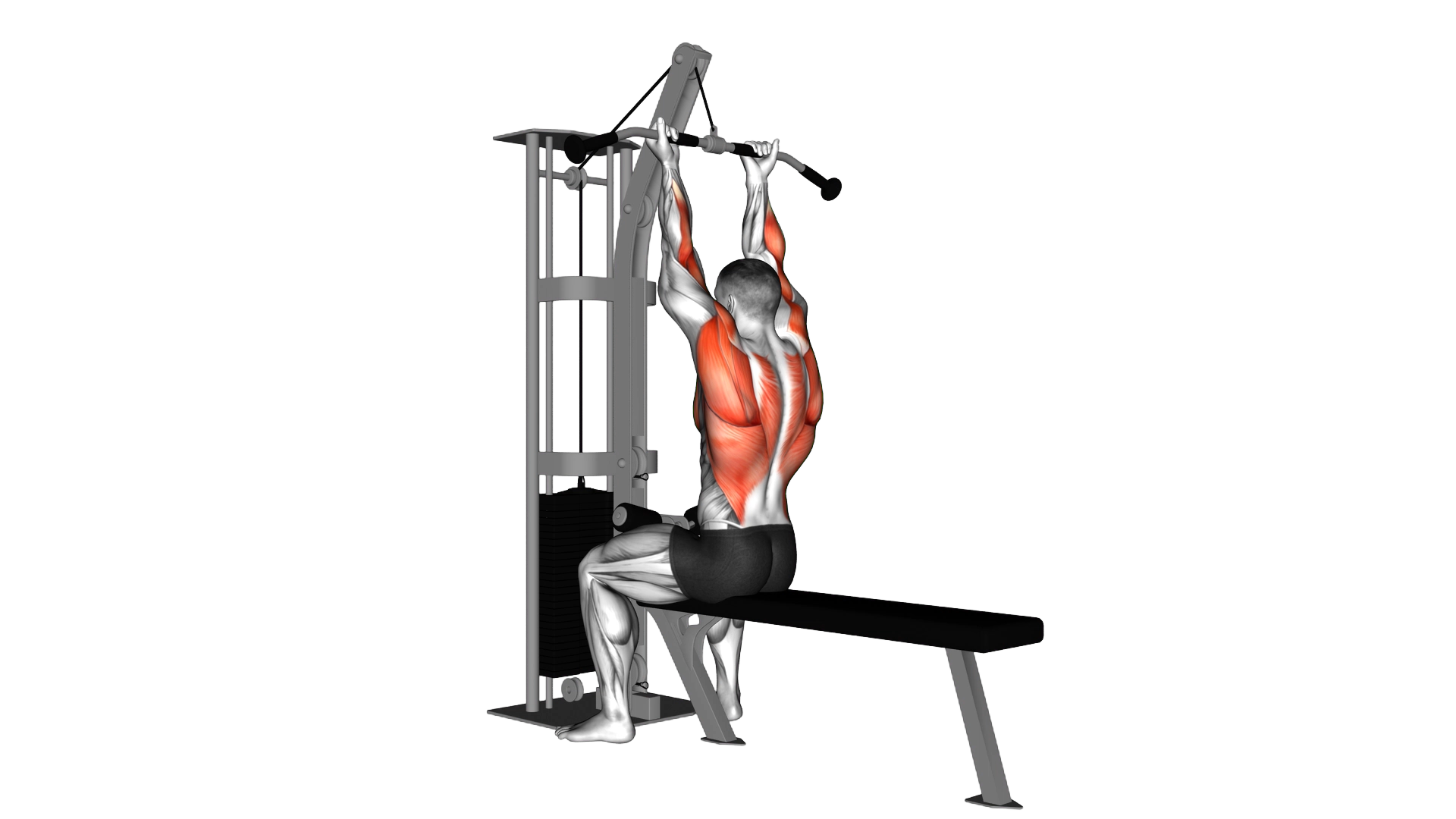 Cable Reverse grip Straight Back Seated High Row exercise demonstration