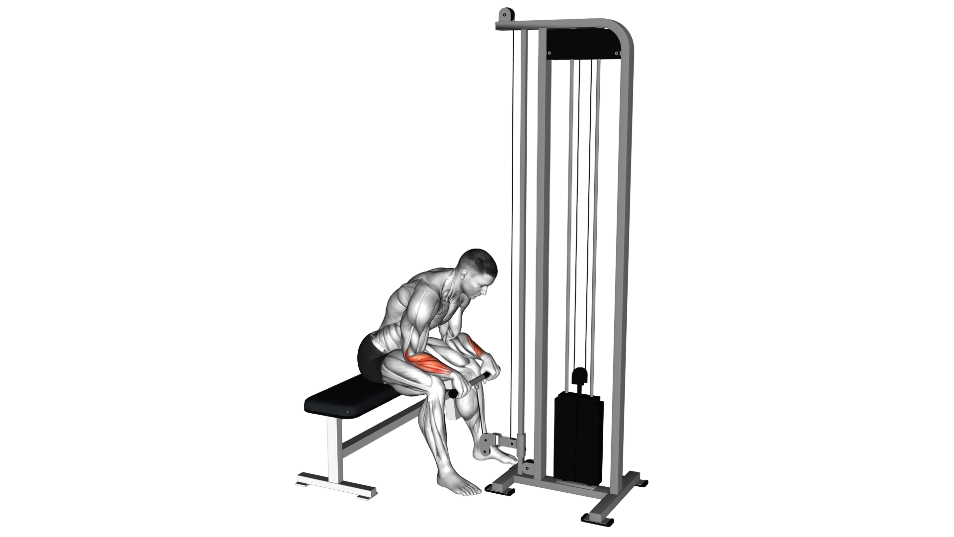 Cable Reverse Wrist Curl exercise demonstration