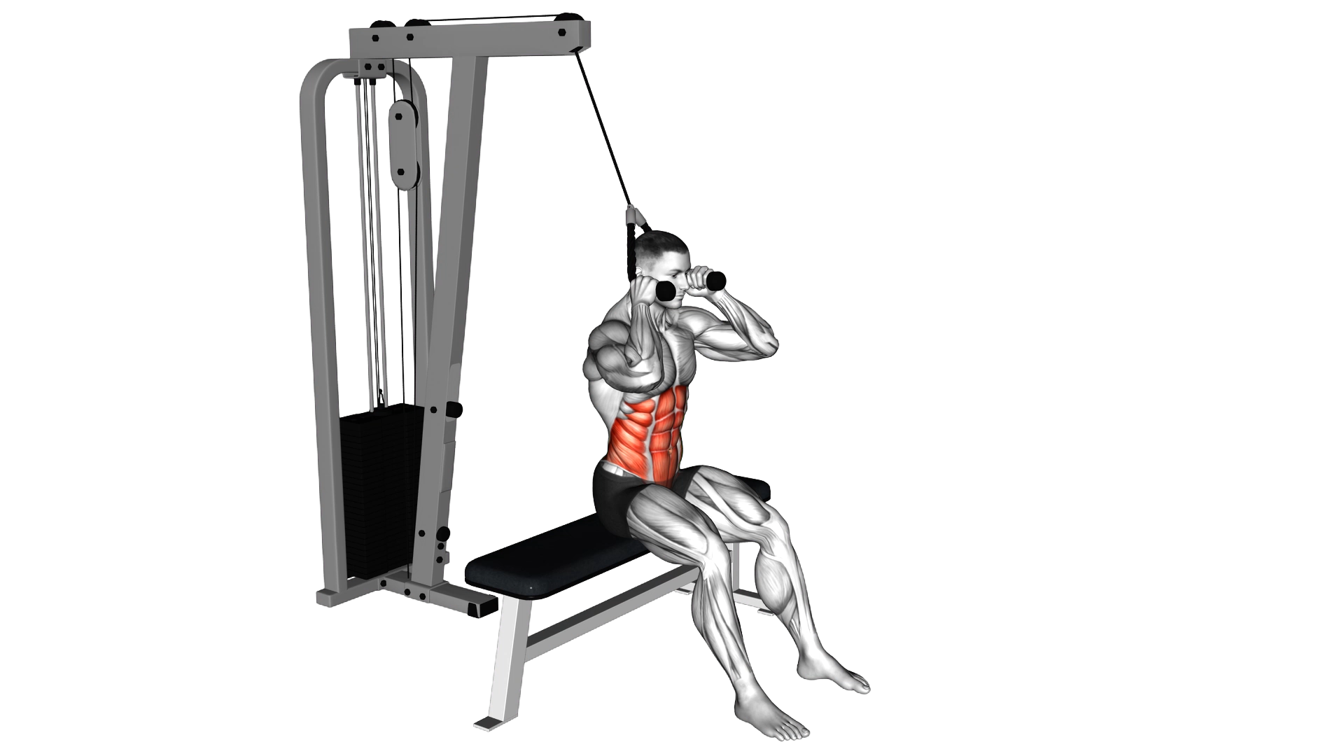 Cable Seated Crunch exercise demonstration