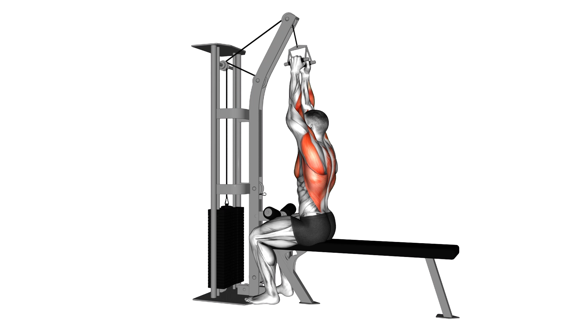 Cable Seated High Row (V bar) exercise demonstration