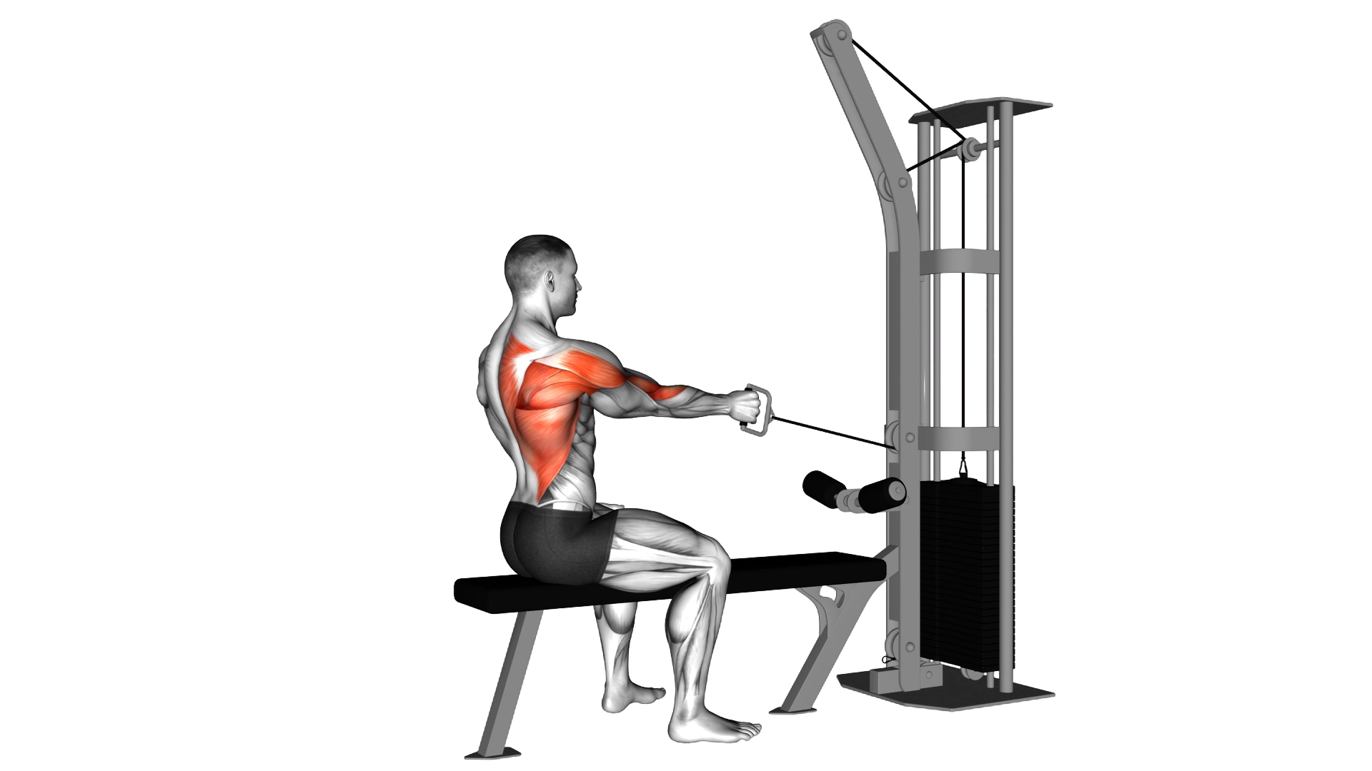 Cable Seated One Arm Alternate Row exercise demonstration