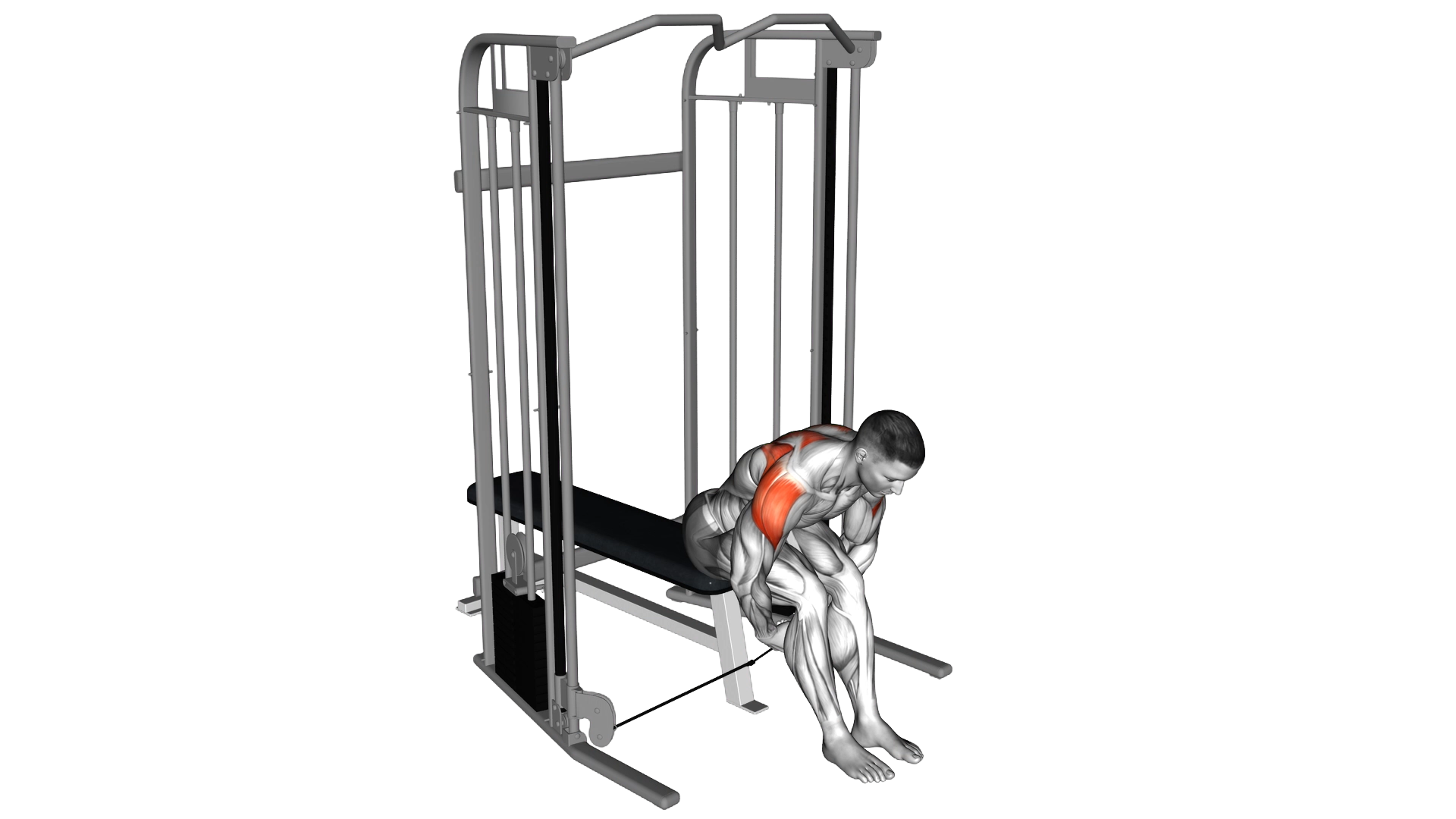 Cable Seated Rear Lateral Raise exercise demonstration