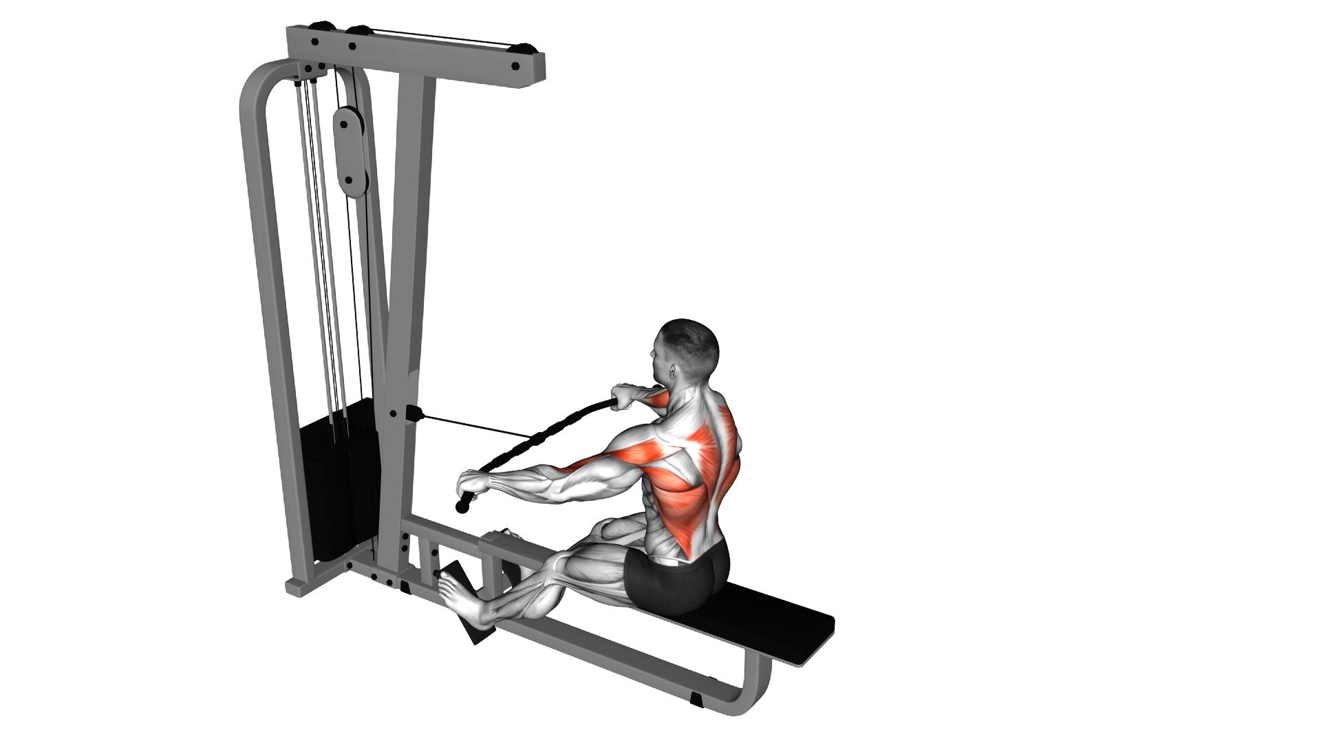 Cable Seated Wide grip Row exercise demonstration