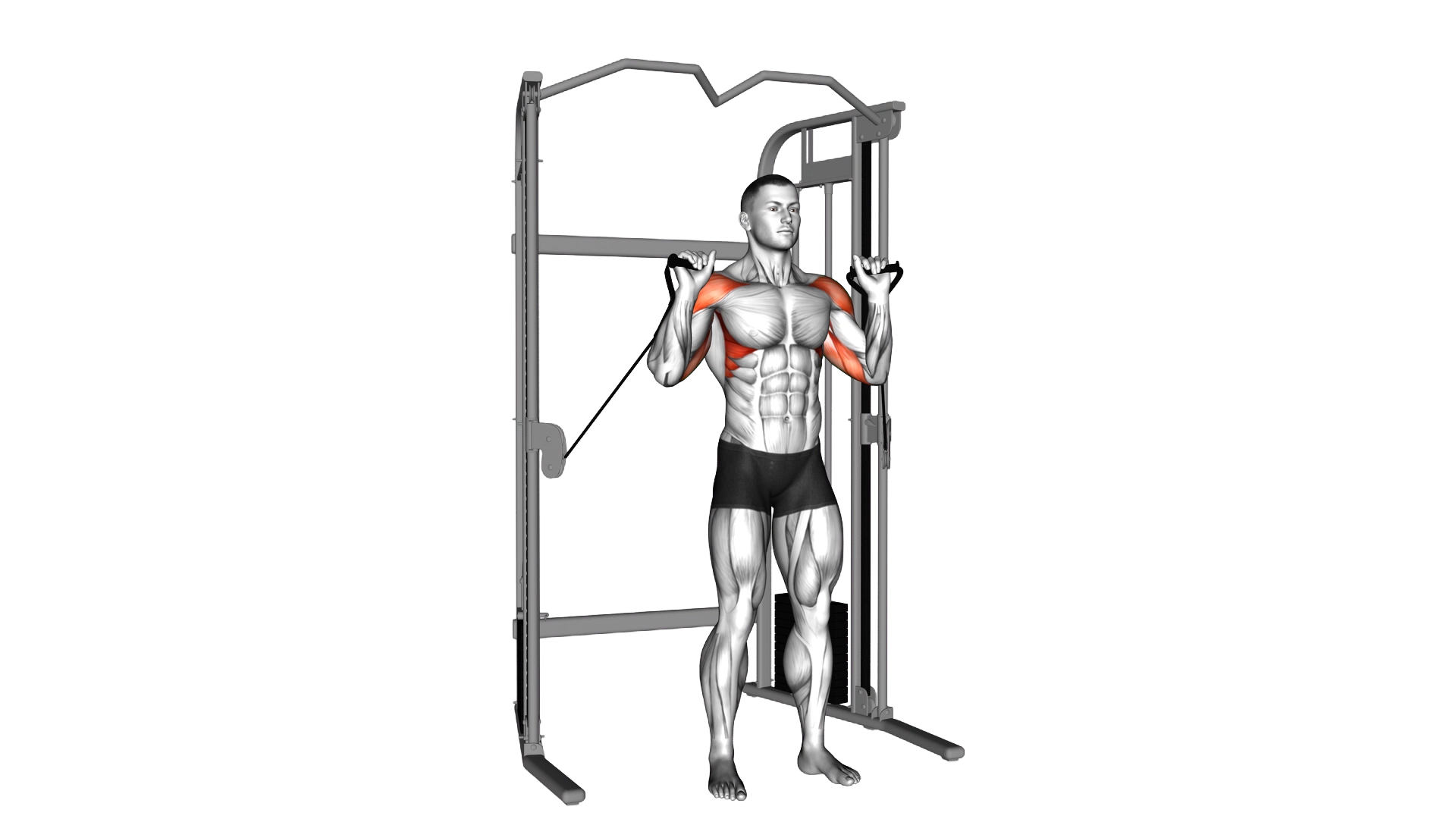Cable Shoulder Press exercise demonstration