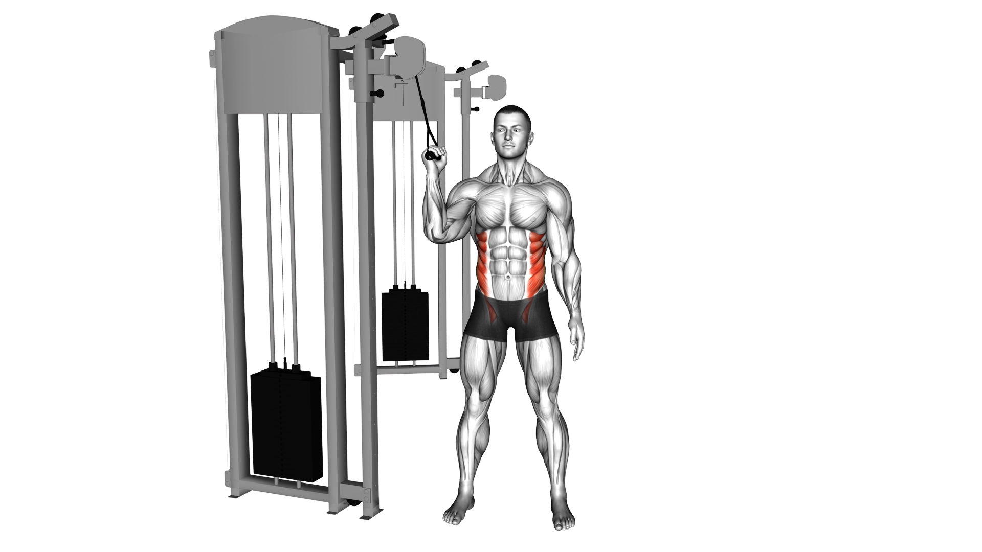 Cable Side Crunch exercise demonstration