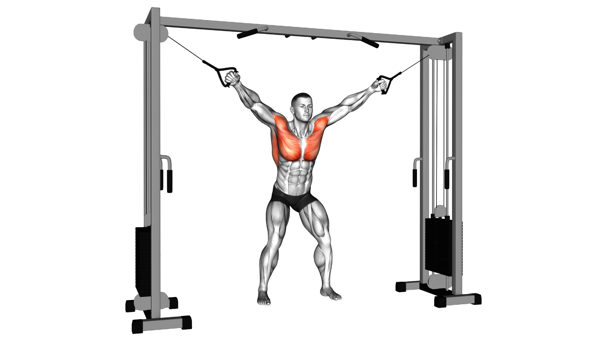 Cable Standing Fly exercise demonstration