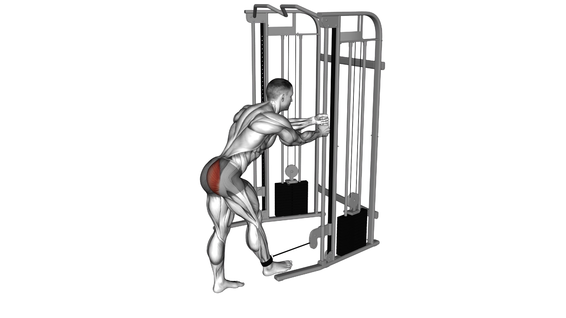 Cable Standing Hip Extension exercise demonstration