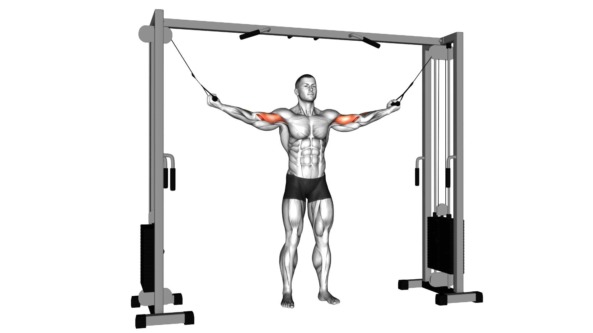 Cable Standing Inner Curl exercise demonstration