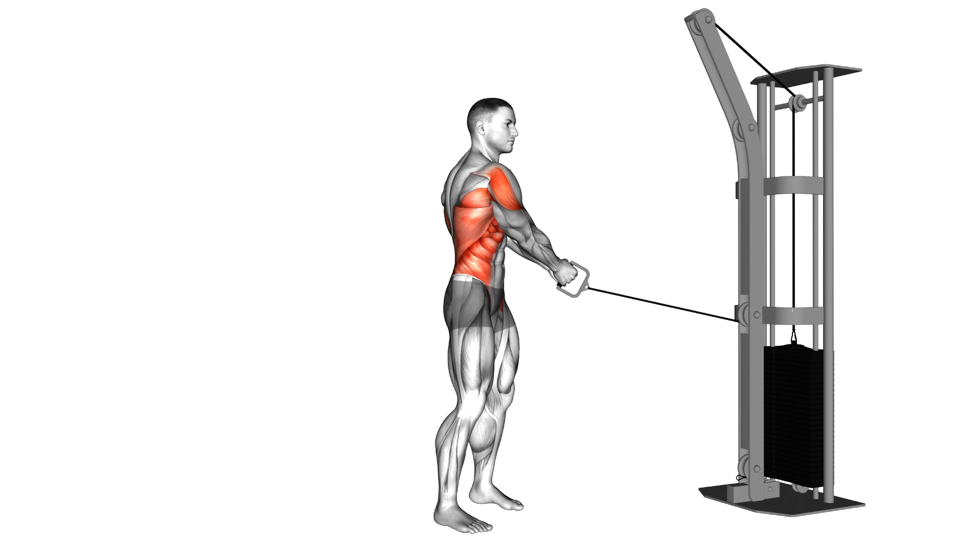 Cable Standing Lift exercise demonstration