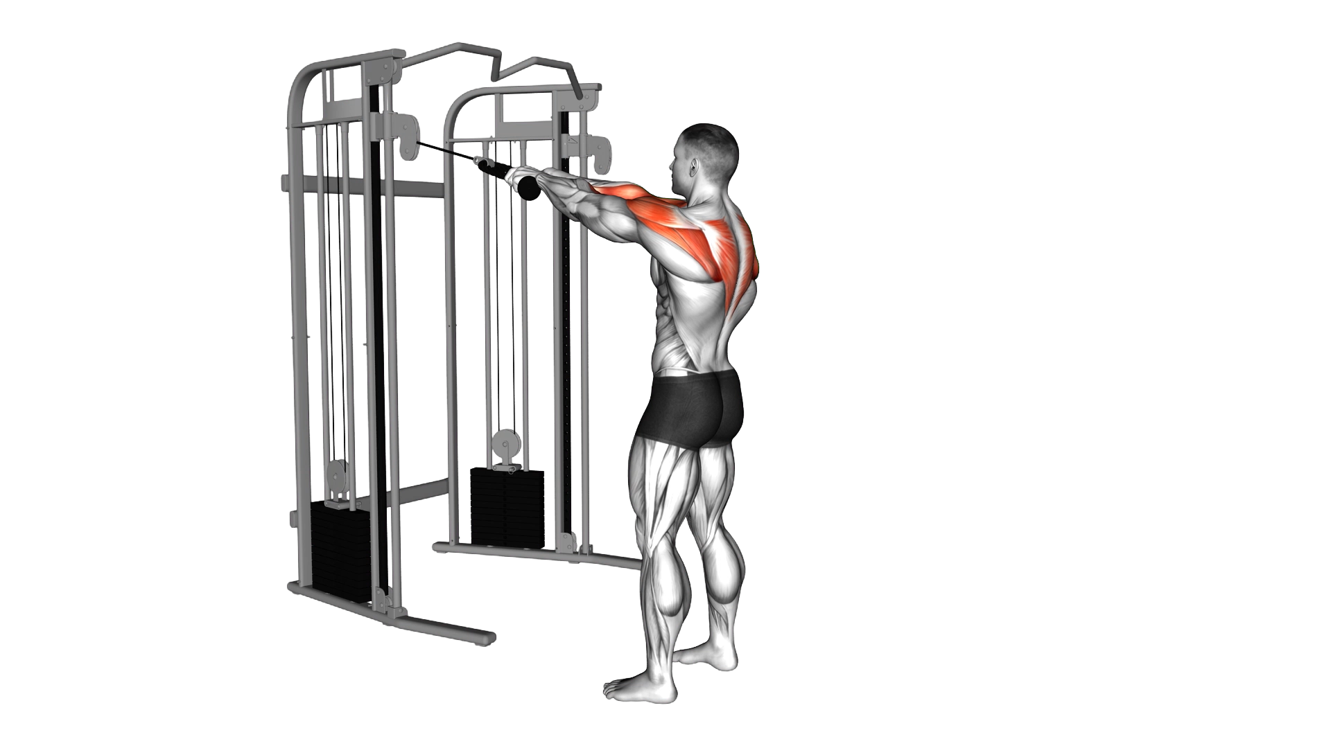 Cable Standing Rear Delt Row (with rope) exercise demonstration