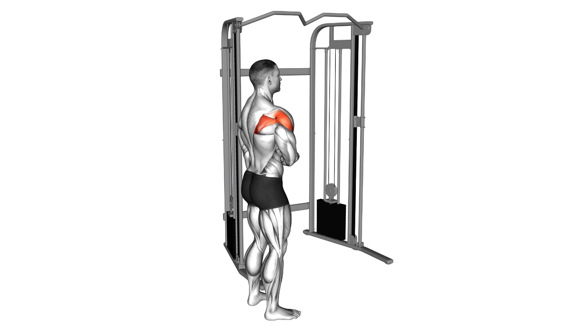 Cable Standing Shoulder External Rotation exercise demonstration