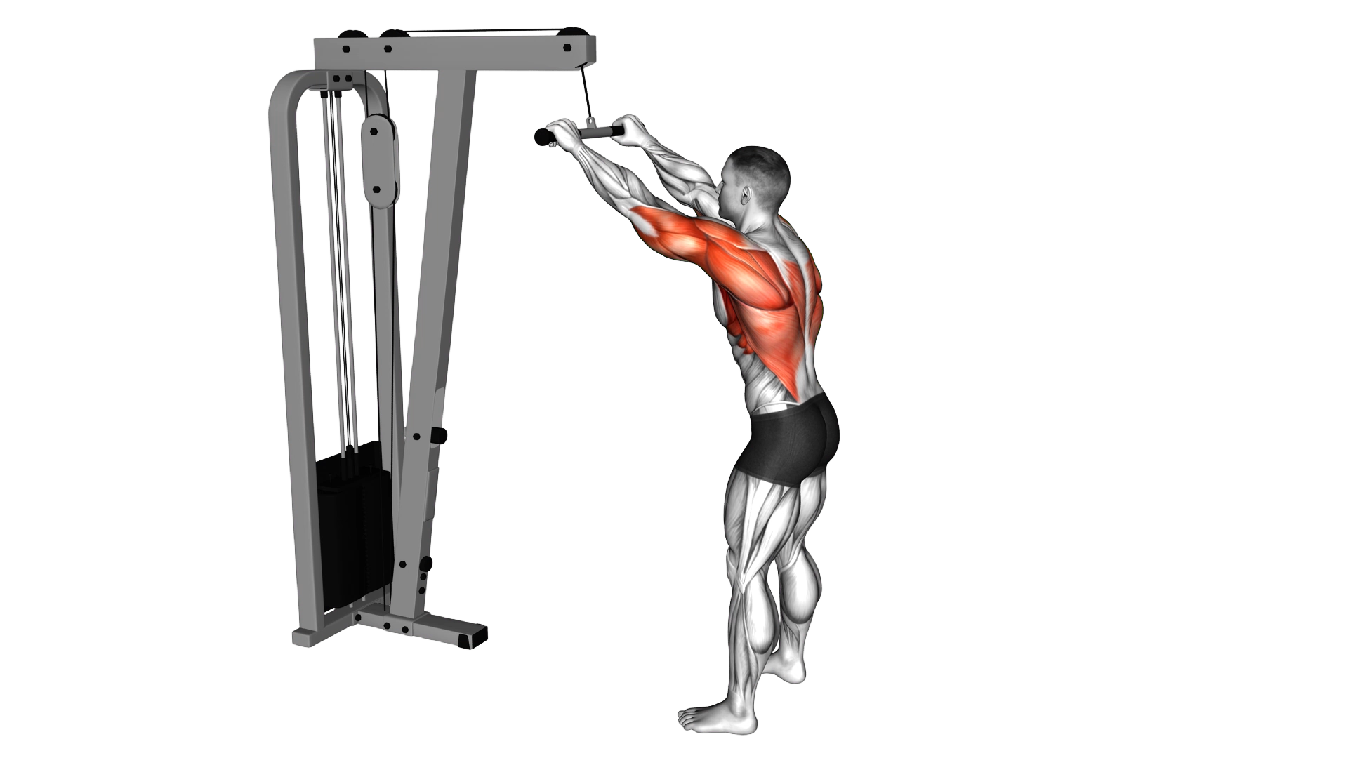 Cable Straight Arm Pulldown exercise demonstration