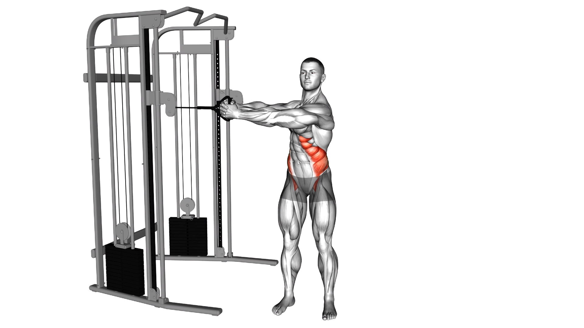 Cable Twist exercise demonstration