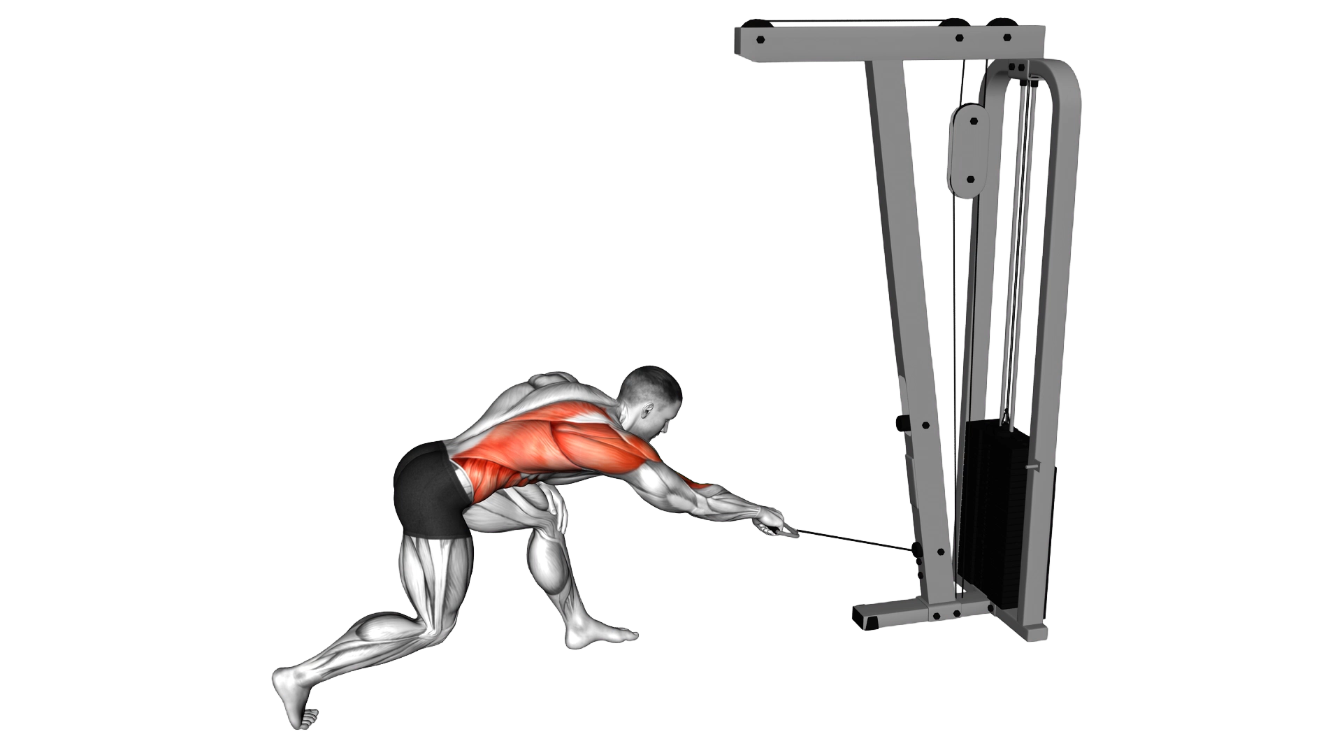 Cable Twisting Pull exercise demonstration