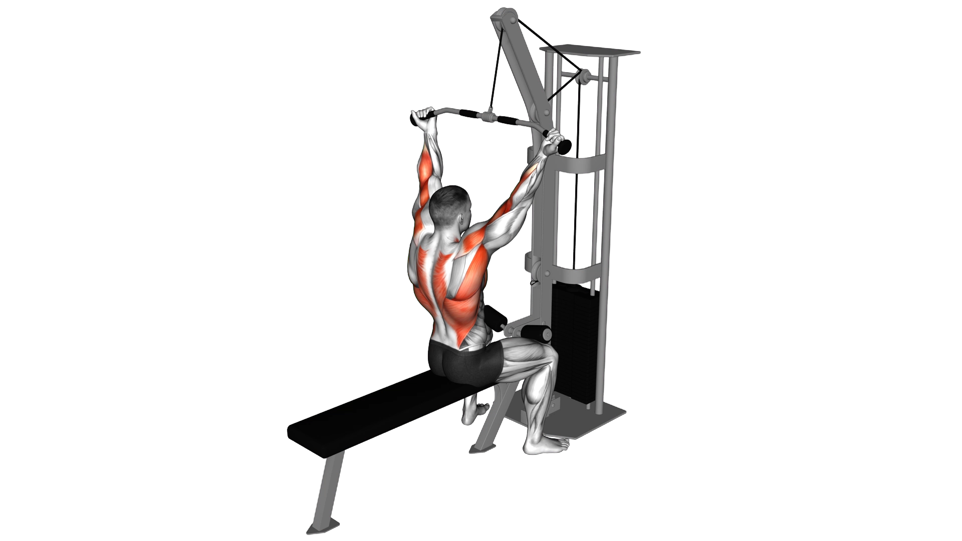 Cable Underhand Pulldown exercise demonstration
