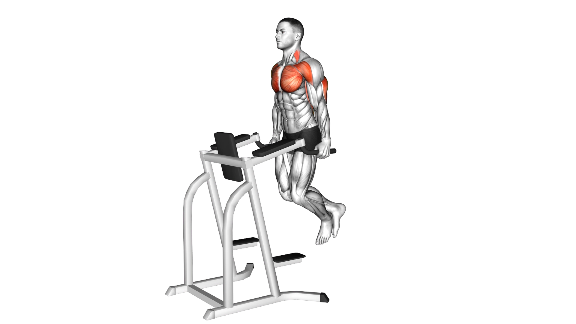 Chest Dip exercise demonstration