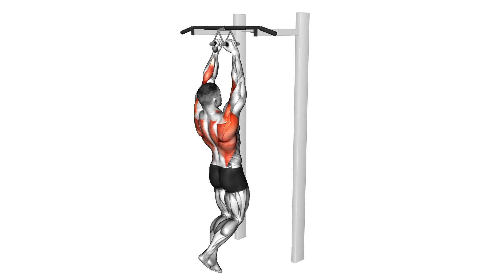 Chin ups (narrow parallel grip) exercise demonstration