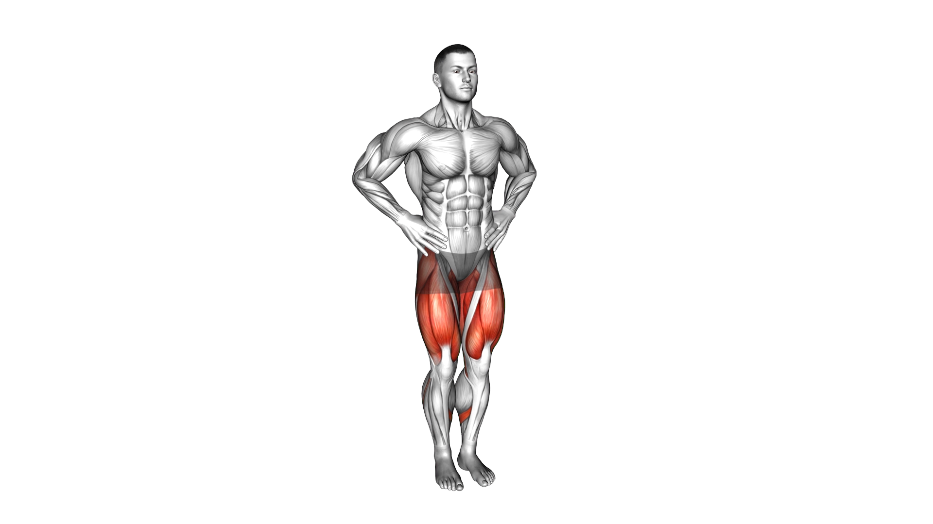 Circles Knee Stretch exercise demonstration