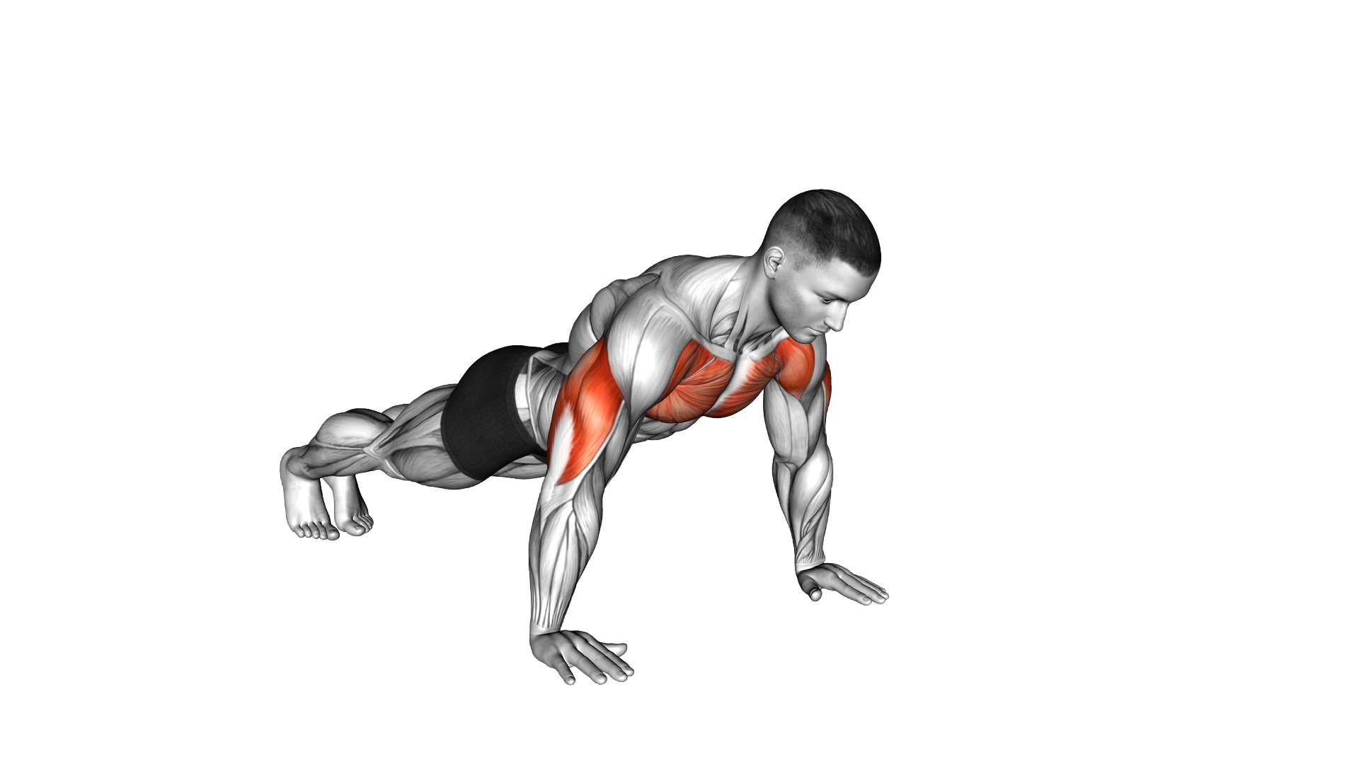 Clock Push Up exercise demonstration