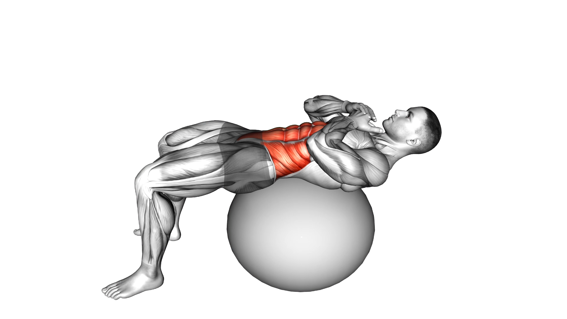 Crunch (on stability ball) exercise demonstration