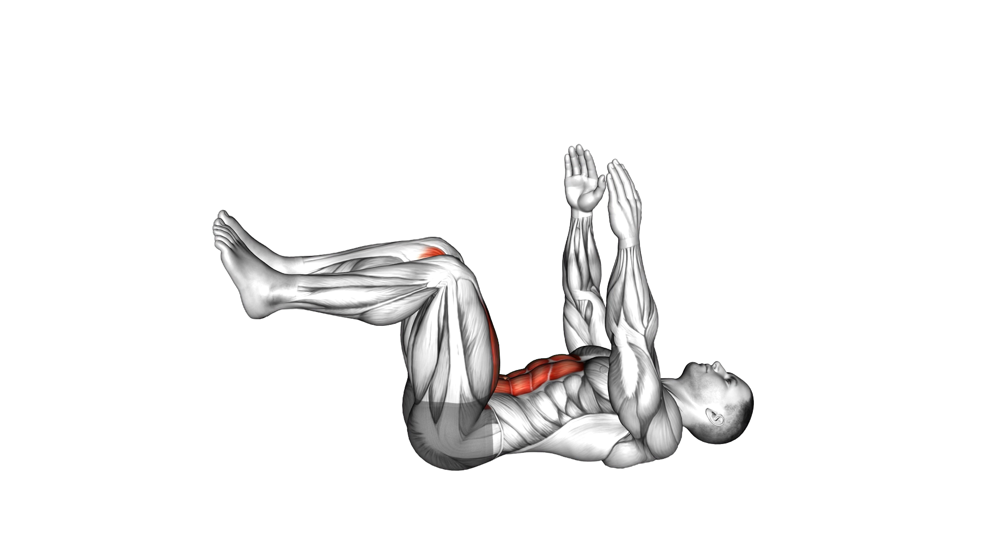 Dead Bug exercise demonstration