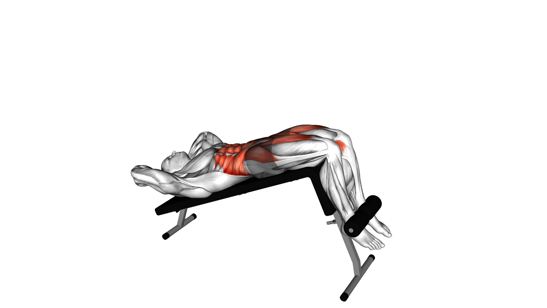 Decline Sit up exercise demonstration