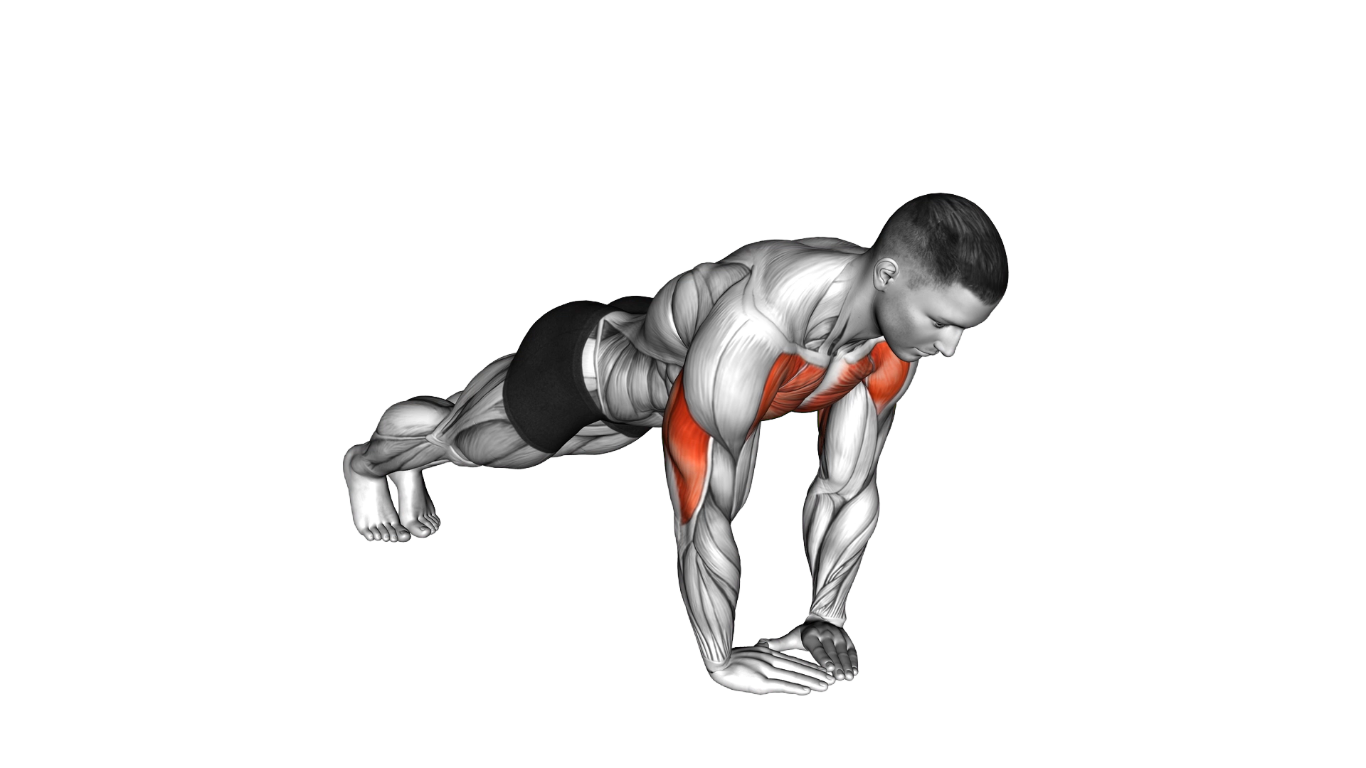 Diamond Push up exercise demonstration