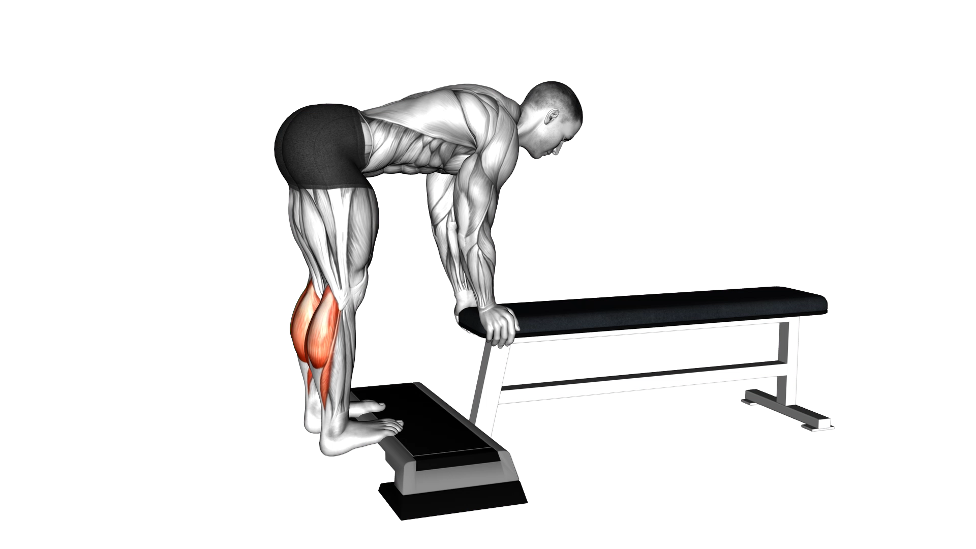 Donkey Calf Raise exercise demonstration