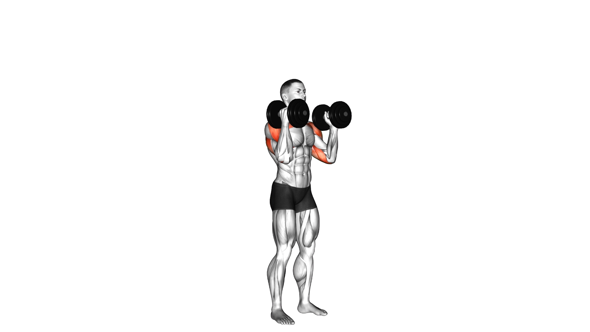 Dumbbell Alternate Side Press exercise demonstration