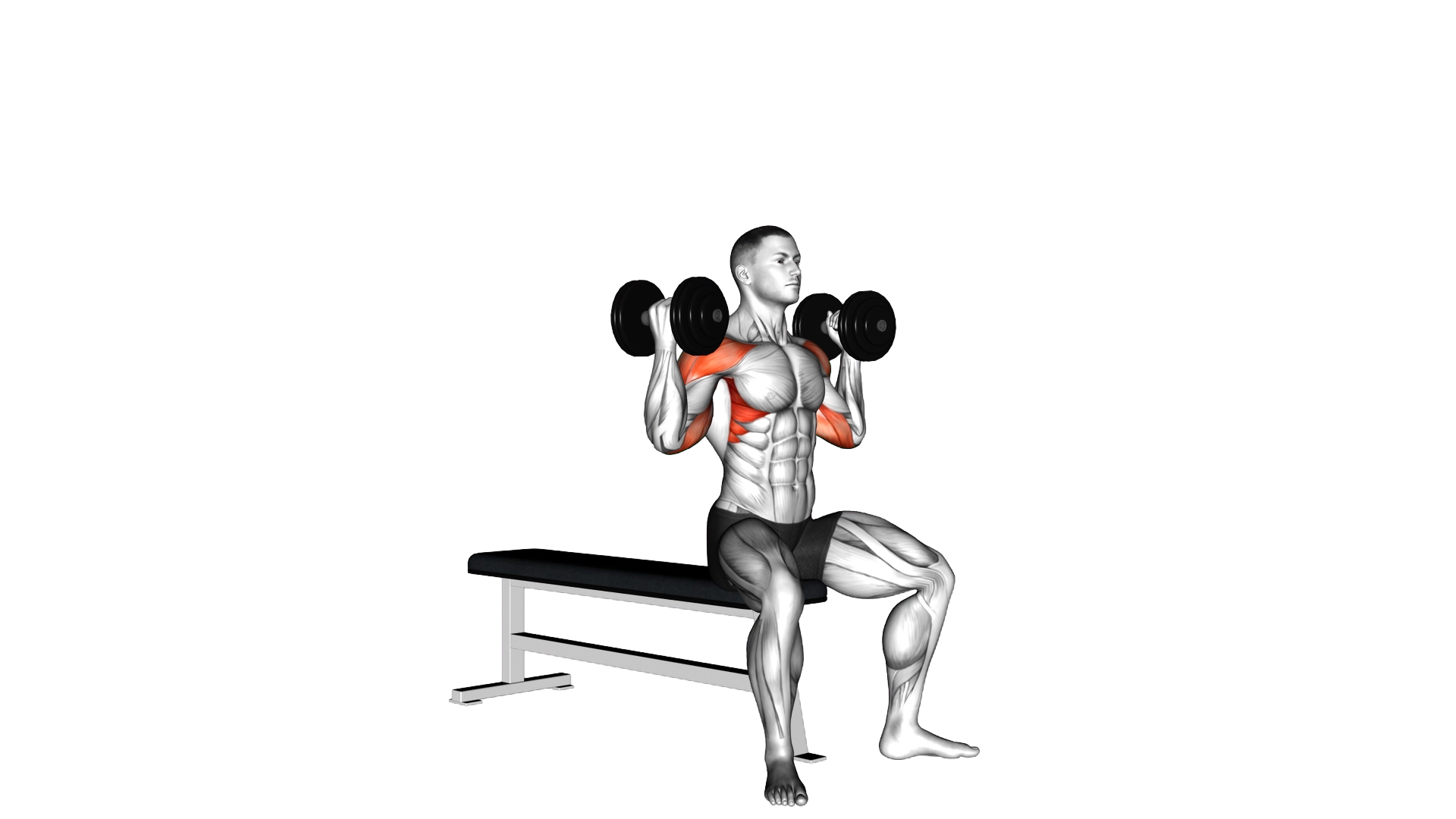Dumbbell Arnold Press II exercise demonstration