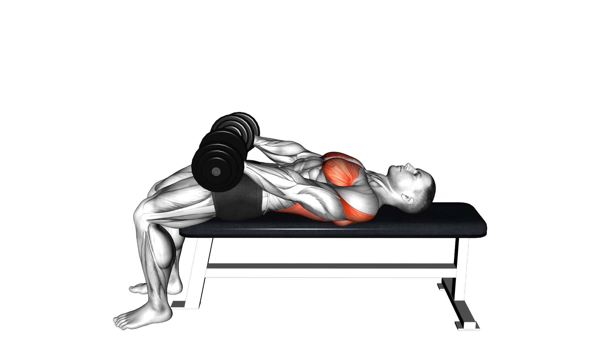 Dumbbell Around Pullover exercise demonstration