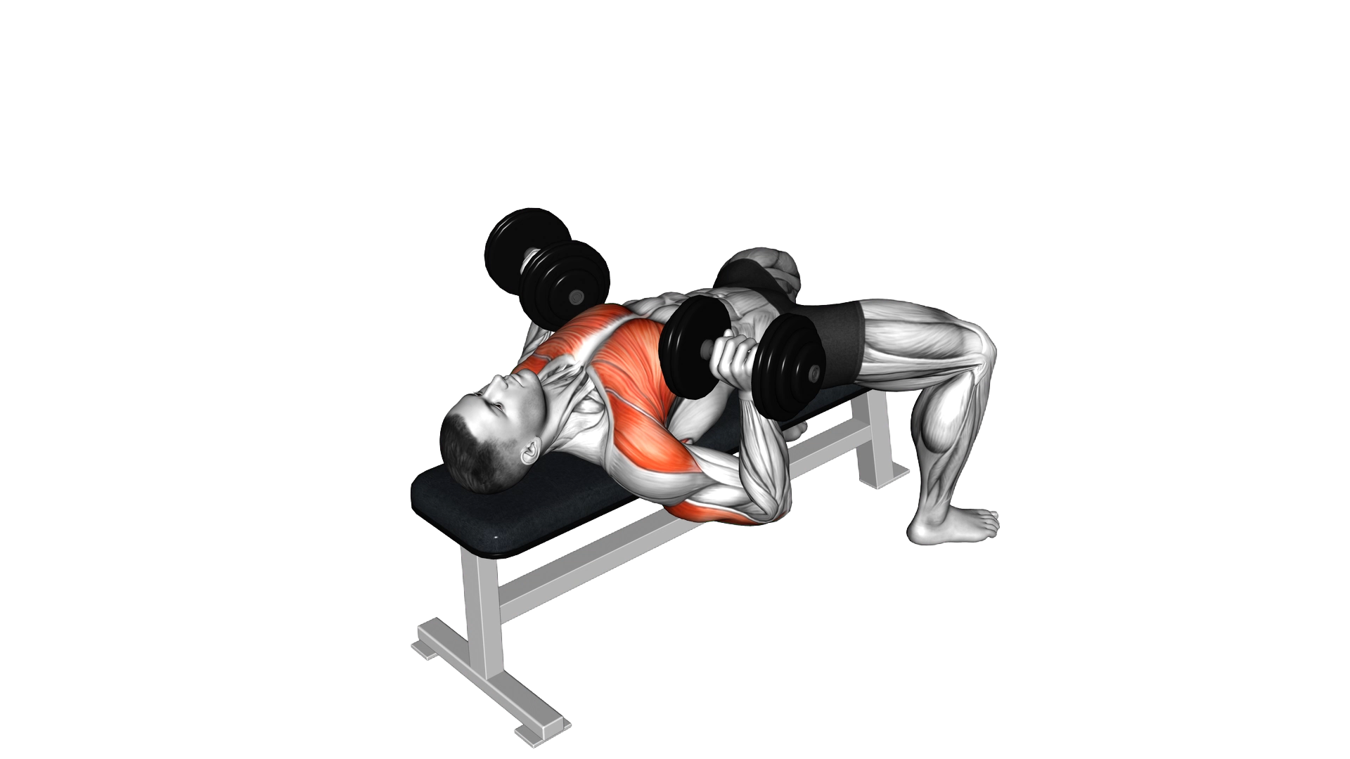 Dumbbell Bench Press exercise demonstration
