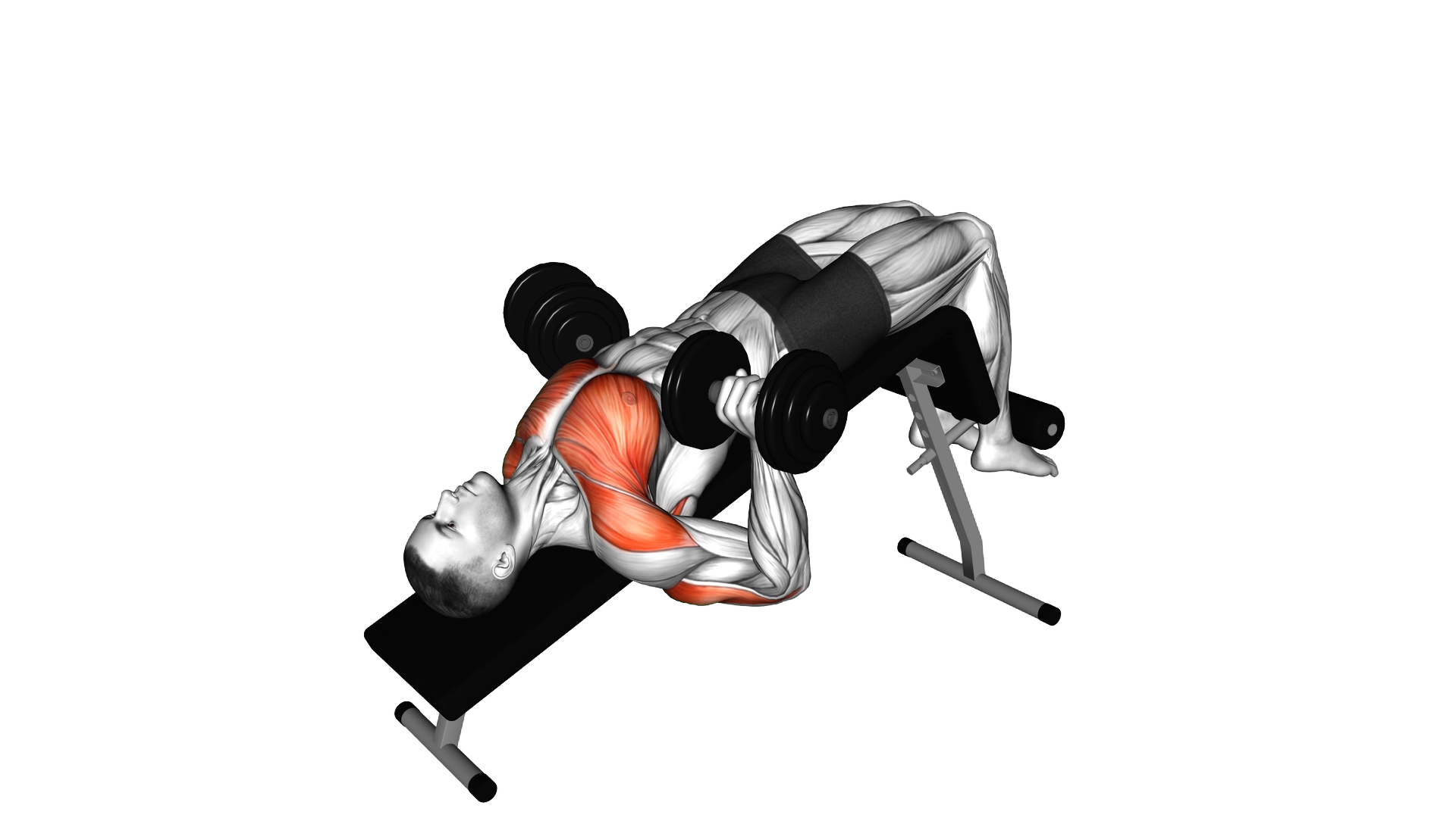 Dumbbell Decline Bench Press exercise demonstration