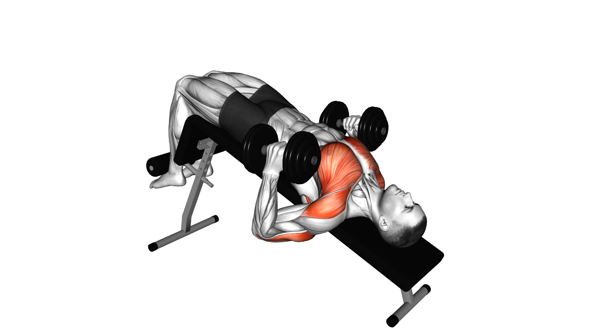 Dumbbell Decline Hammer Press exercise demonstration