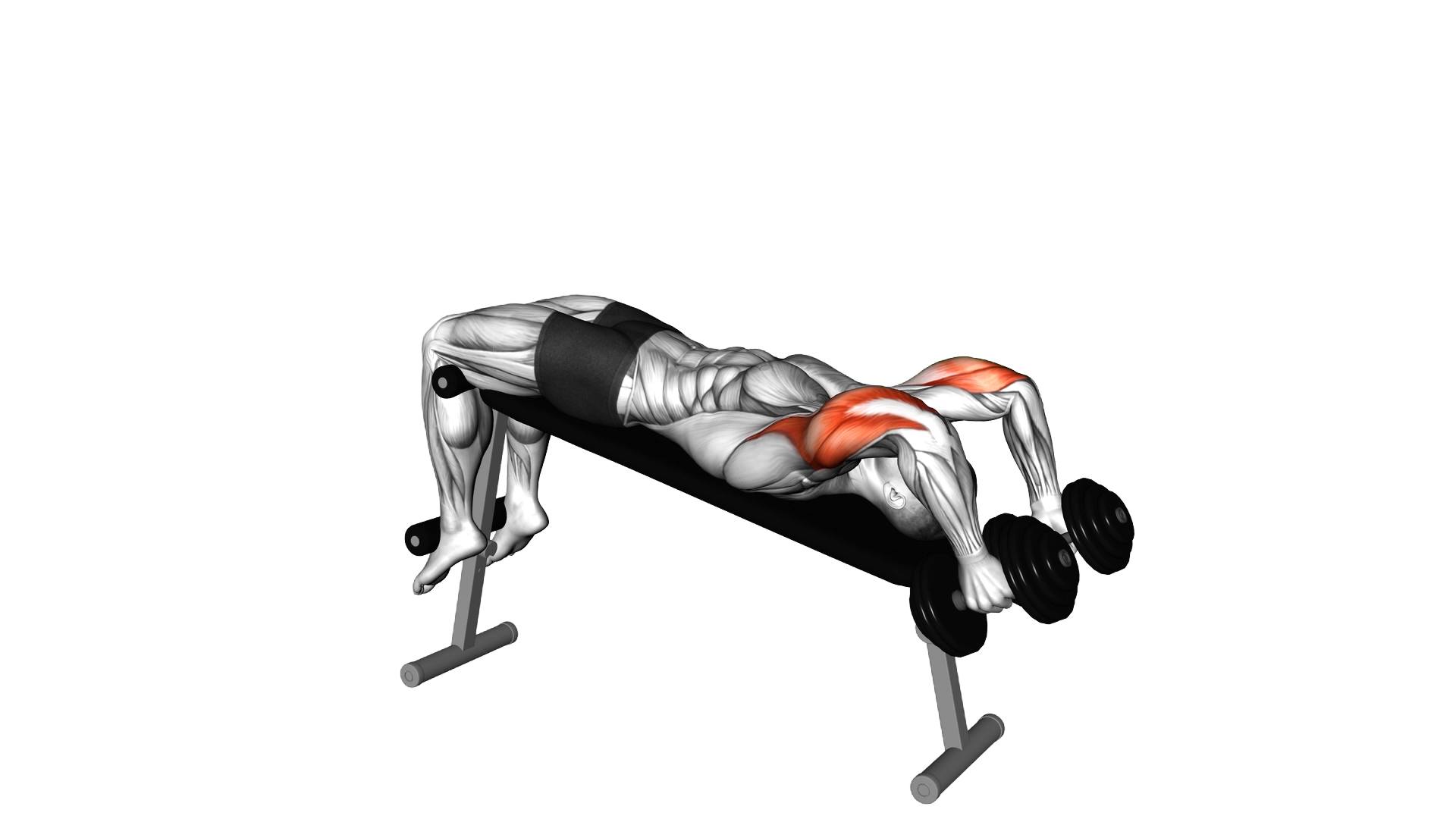 Dumbbell Decline Triceps Extension exercise demonstration