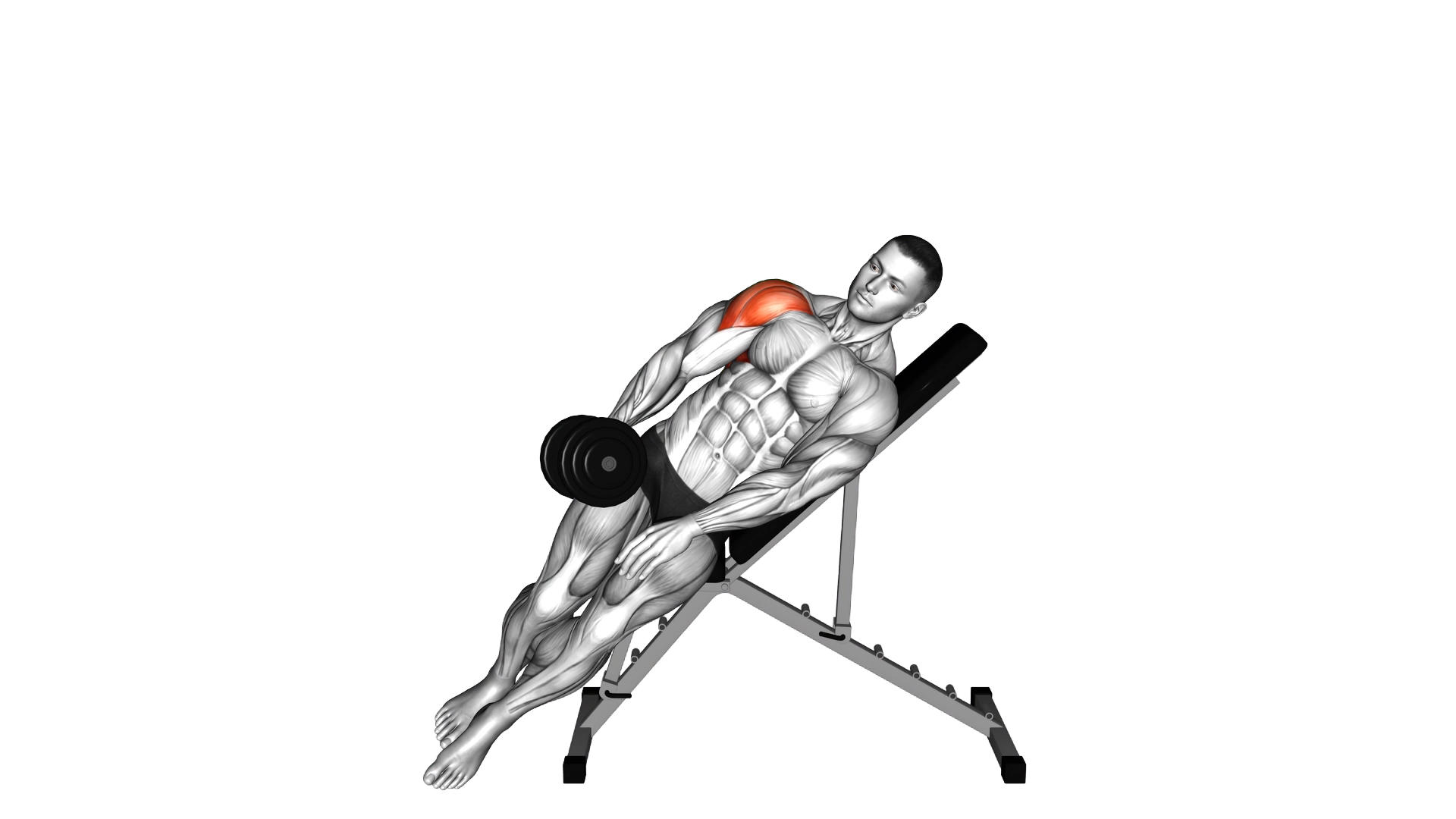 Dumbbell Incline One Arm Lateral Raise exercise demonstration