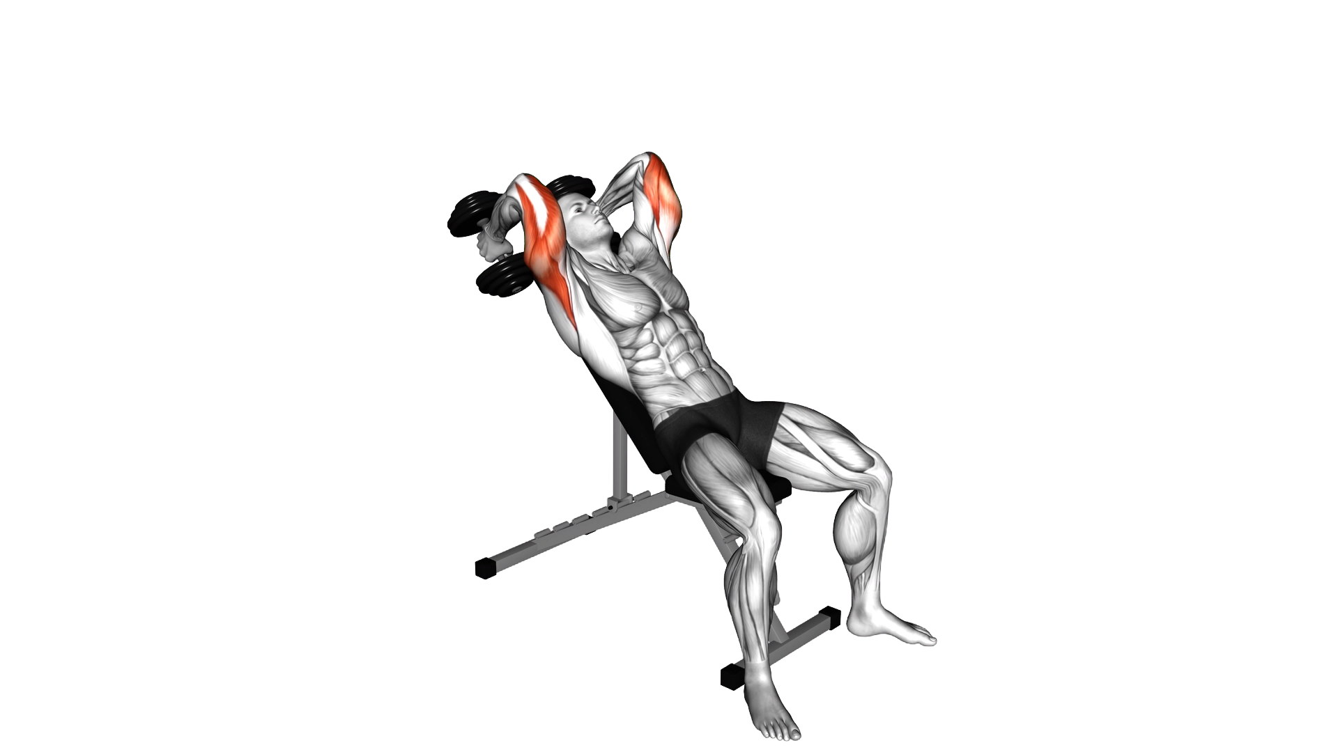 Dumbbell Incline Triceps Extension exercise demonstration