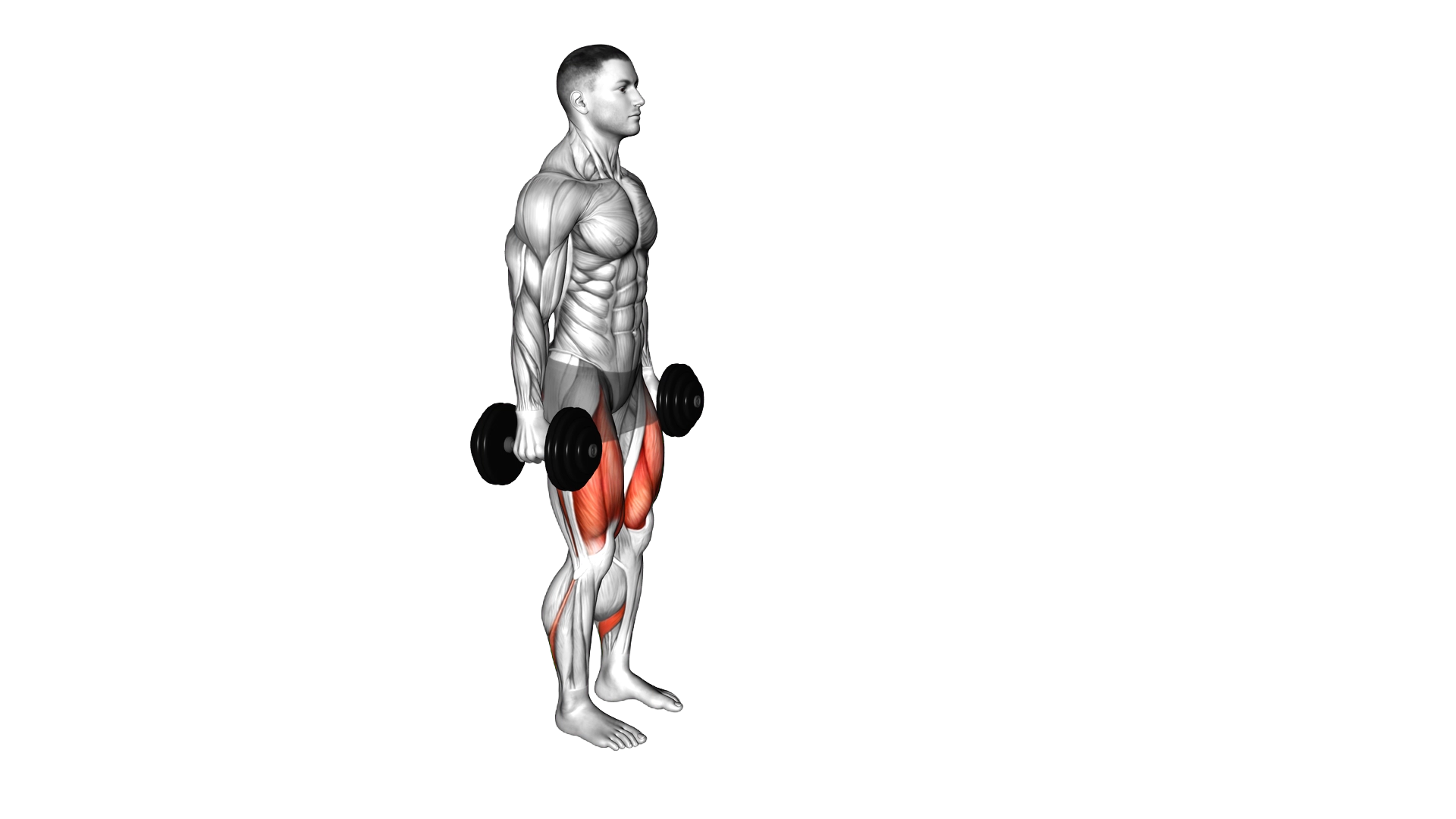 Dumbbell Lunge exercise thumbnail